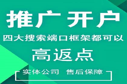 网站sem托管服务提供商的成功案例分析